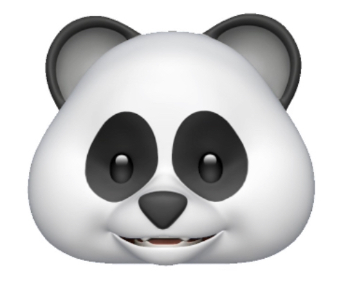 panda